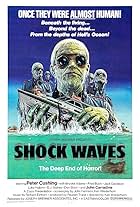 Shock Waves