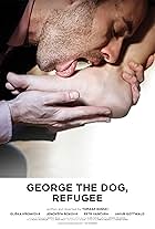 George the dog, refugee