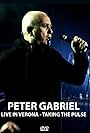 Peter Gabriel: Live in Verona (2014)