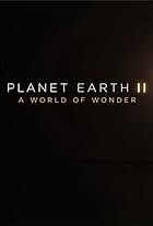 Planet Earth II: A World of Wonder