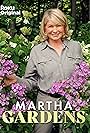 Martha Gardens (2022)