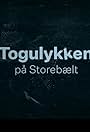 Togulykken på Storebælt (2021)