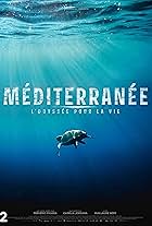 Méditerranée, L'odyssée pour la vie (2022)