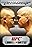 UFC 66: Liddell vs. Ortiz