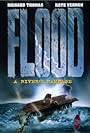 Flood: A River's Rampage (1997)