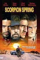 Scorpion Spring