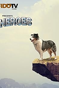 Primary photo for Pet Heroes