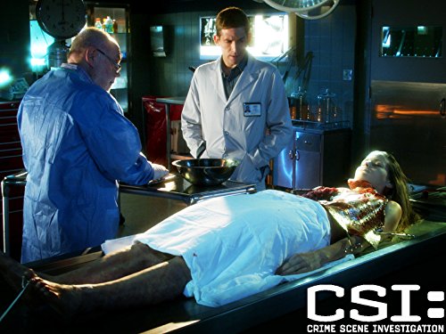 Robert David Hall, Eric Szmanda, and Marielle Jaffe in CSI: Crime Scene Investigation (2000)