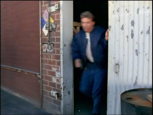 Wolf Larson in L.A. Heat (1996)