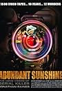 Abundant Sunshine (2009)