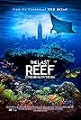 The Last Reef 3D (2012)