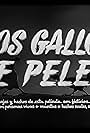 Dos gallos de pelea (1950)