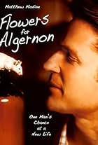 Flowers for Algernon (2000)