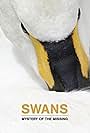 Swans: Mystery of the Missing (2019)