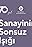 Sanayinin Sonsuz Isiginda