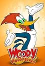 The Woody Woodpecker Show (1999)