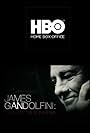 James Gandolfini: Tribute to a Friend (2013)