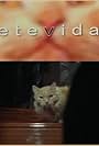 Sete Vidas (2007)