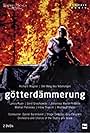 Götterdämmerung (2013)