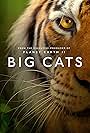 Big Cats (2018)