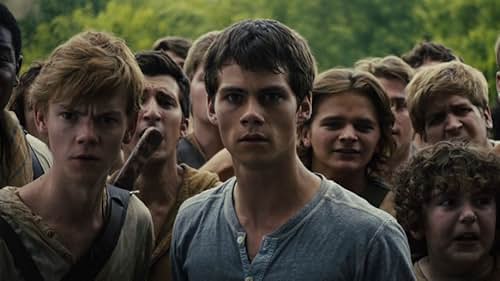 The Maze Runner: Good Job