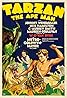 Tarzan the Ape Man (1932) Poster