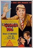 The Guinea Pig