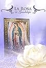 La Rosa De Guadalupe (2008)