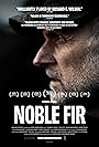 Noble Fir (2014)