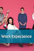 The Work Experience