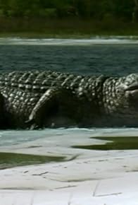 Primary photo for Giant Croc