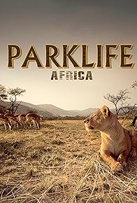 Primary photo for Parklife: Africa