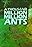 A Thousand Million Million Ants