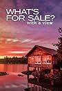 What's for Sale? With a View (2015)