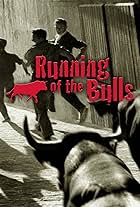 Encierro 3D: Bull Running in Pamplona (2012)