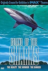 Primary photo for Island of the Sharks