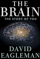 The Brain with David Eagleman (2015)