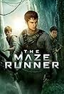 Maze Runner