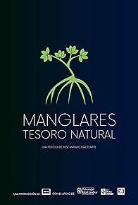 Primary photo for Manglares, tesoro natural