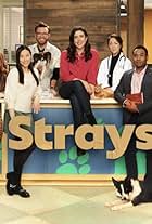 Strays