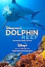 Dolphin Reef (2018)