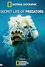 Secret Life of Predators (2013)