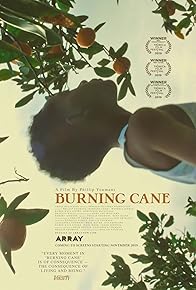 Primary photo for Burning Cane