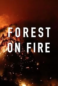 Primary photo for Forest on Fire