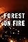 Forest on Fire's primary photo