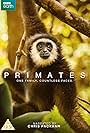 Primates (2020)