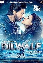 Kajol, Shah Rukh Khan, Varun Dhawan, and Kriti Sanon in Dilwale (2015)