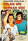 Solan Bir Yaprak Gibi (1971)