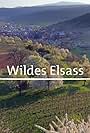 Wildes Elsass (2018)