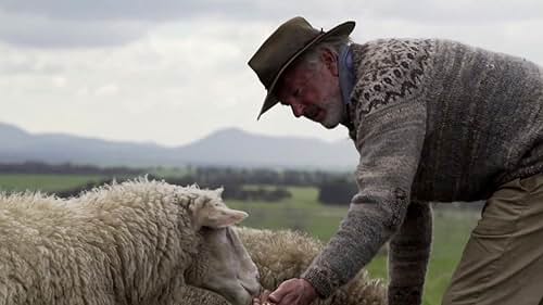 Rams: The Good & The Baaaahd Of Working With Sheep (Featurette)